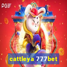 cattleya 777bet